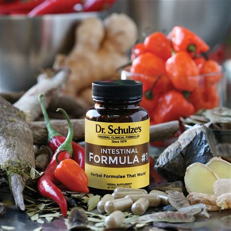 Buy Dr. Schulze’s Intestinal Formula #1 | Promotes Regular & Complete ...