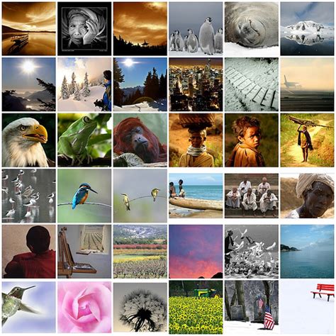 Image result for Photo Programs Free