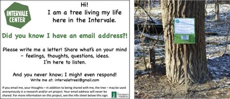 Tree Well Sign 的图像结果