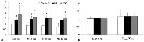 Metabolic and Microcirculatory Changes in Severe Renal Ischemia ...