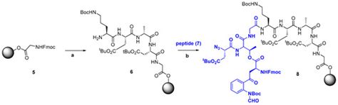 The Road from Host-Defense Peptides to a New Generation of ...