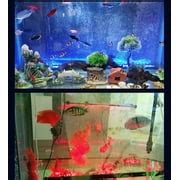 Buy LED 7 Colors Change Aquarium Light Fish Bowl Submersible Light Air ...
