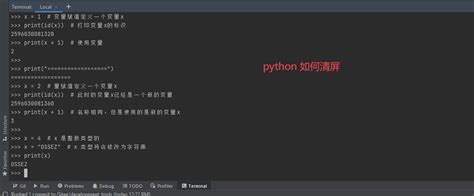python字典用法_科学网—Python：字典和字典方法 - 刘洋洋的博文-CSDN博客