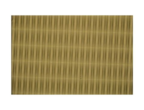 Microglaze 的图像结果