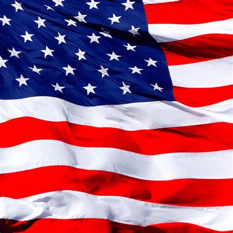 Image result for Auto Quotes Tutorials