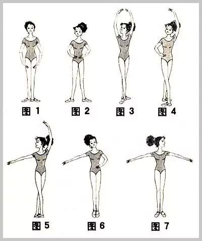 艺学 | 芭蕾舞基本手位和基本脚位图解！