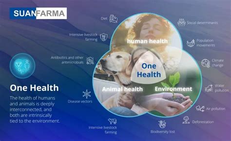 Image result for One Health CDC