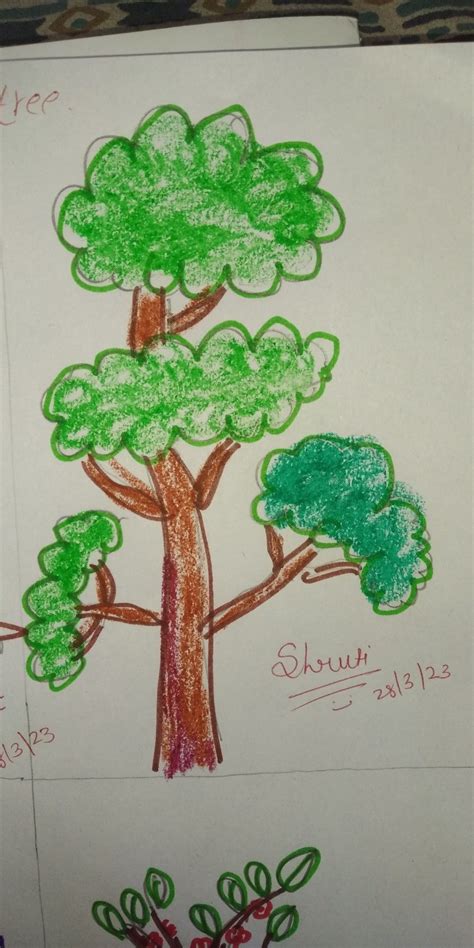 Tree Easy Draw EYFS 的图像结果