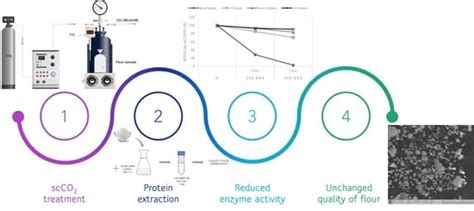 Foods | Special Issue : Enzymes in Food Industry: Novel Food Processing ...