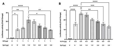 Glucocorticoid Receptor (GR) and Specificity Protein 1 (Sp1) or Sp3 ...