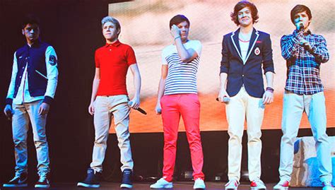 Image result for One Direction Concert Fan Project