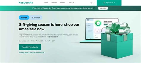 Rezultat imagine pentru Network Security Service