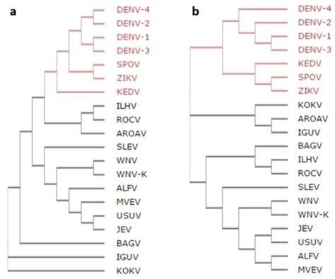 Structural and Functional Properties of the Capsid Protein of Dengue ...