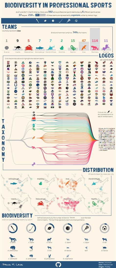 Image result for Infographic Examples Creative