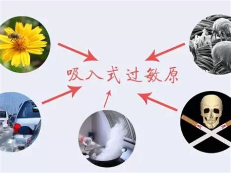 曾经得荨麻疹的你都是怎么好的？ - 知乎