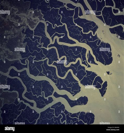 The Ganges River Delta, located in South Asia, is one of the largest ...