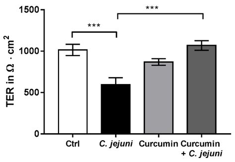 Curcumin Mitigates Immune-Induced Epithelial Barrier Dysfunction by ...
