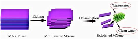 Unveiling Fabrication and Environmental Remediation of MXene-Based ...