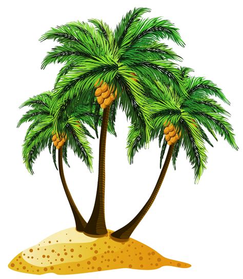 Real Coconut Tree With Coconut Png Png Clipart Coconut Tree Clip Art ...