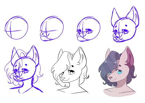 How To Draw Furries Step By Step at Linda Glover blog