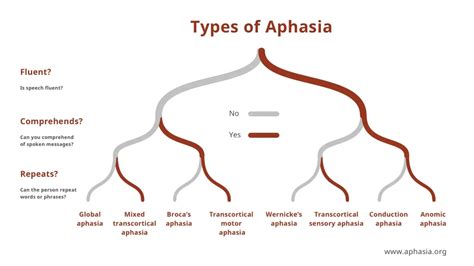 Image result for Aphasia Type Tree