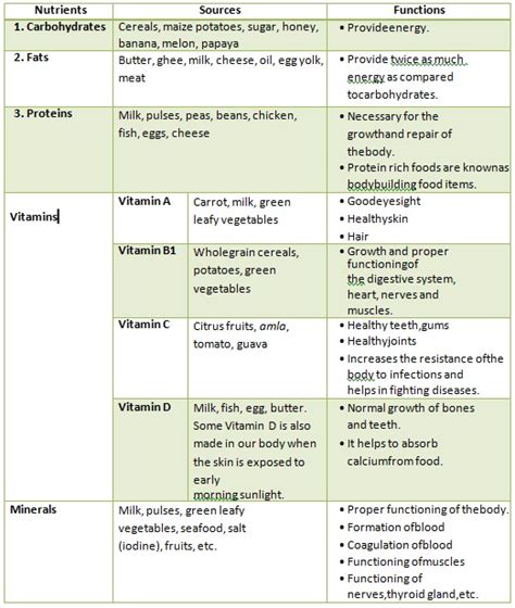 Science Components of Food 的图像结果