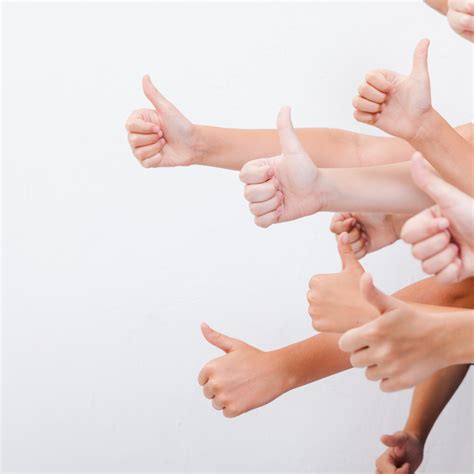 Manufacturing Process of Matcha