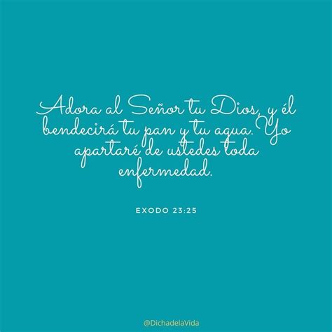Exodo 23 25