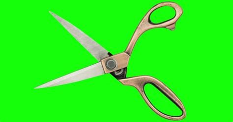 Image result for Body Scissors Animation