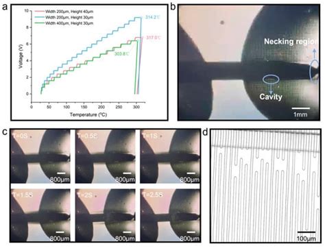 A Novel Flexible Liquid Metal Microheater with a Textured Structure