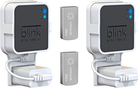 Blink Sync Module 2 Local Storage 的图像结果