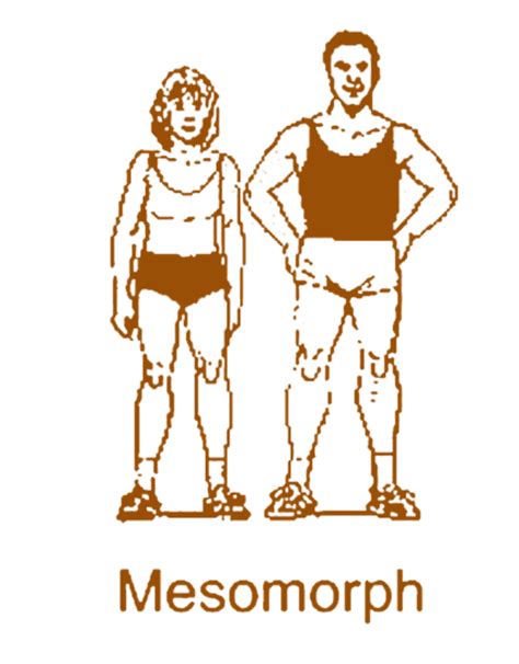 Fuel your workout with a high protein breakfast - Nutrabox – Nutrabox India