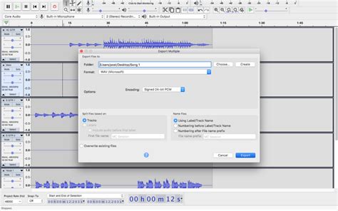 Image result for Audacity Export Labels