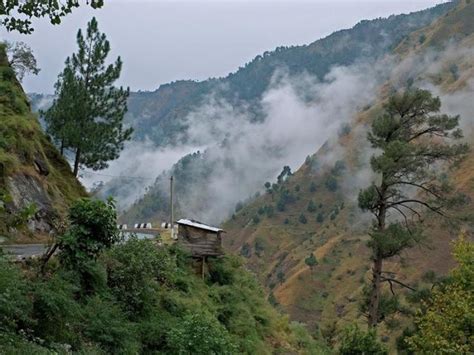 Monkey Point, kasauli, India - Top Attractions, Things to Do ...