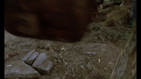 Image result for Monty Python Holy Grail Bloopers