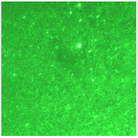 Behavior Investigation of Necking Pile with Caps Assisted with ...