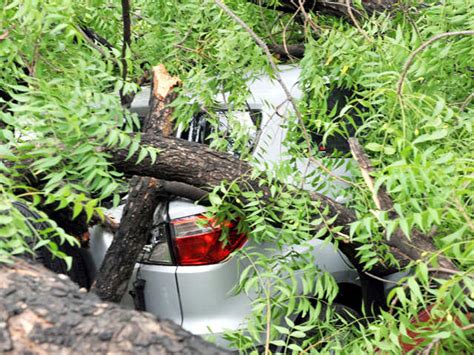 Storm attributed to western disturbance - Devastating images of ...