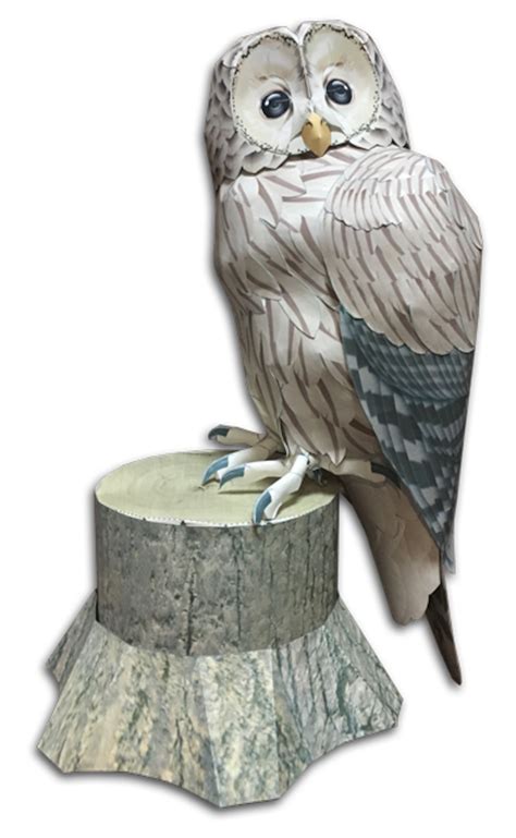 Life Size Paoercraft Tral oul English edition | 紙鳥屋