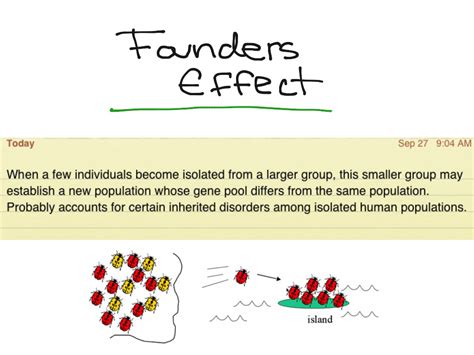Image result for Genotype Example