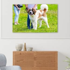 Cute Puppy Landscape Wall Poster With Glossy Paper Print (12*18)inch ...