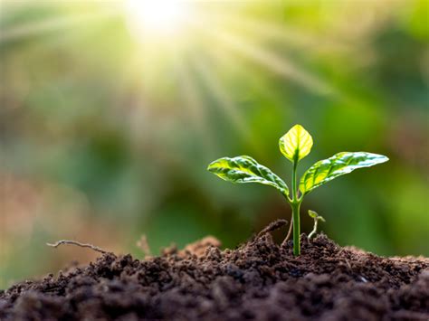 Image result for Difference Between Decision-Making and Problem Solving