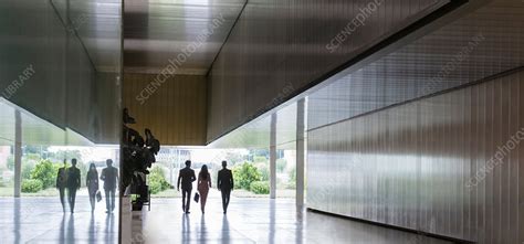 Business People Walking Foreground 的图像结果