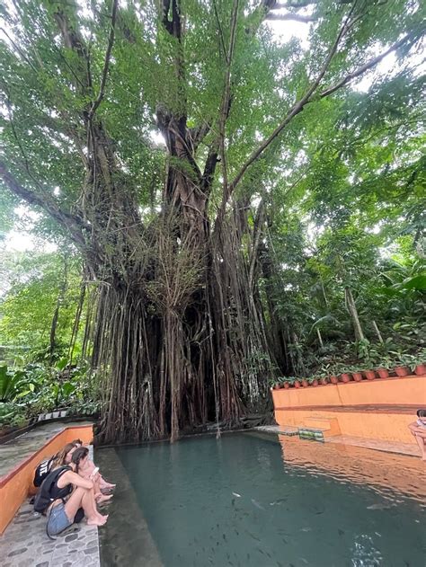 WHITE BADA GUESTHOUSE (San Juan) - Lodging Reviews, Photos, Rate ...