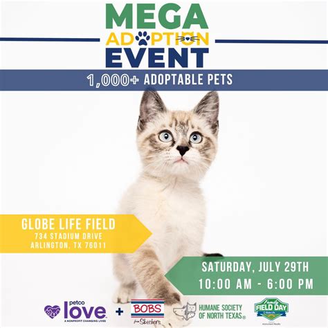 Tri-City Animal Shelter & Adoption Center | Cedar Hill, TX - Official ...