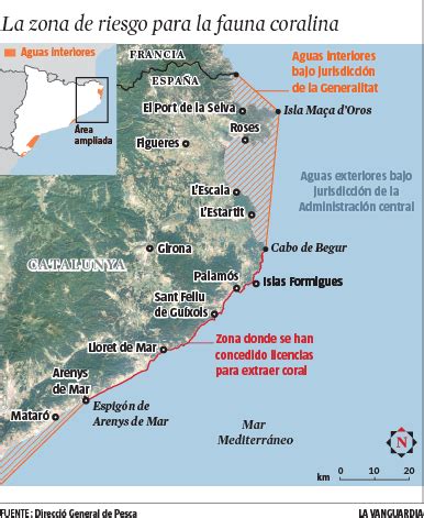 Un golpe letal al coral rojo