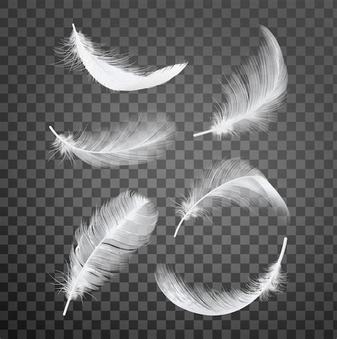 Image result for Paragraph with CSS Feather Example