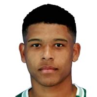 Vinicius Lopes da Silva - İstatistik, Maçlar, Kariyer, Kupalar ...
