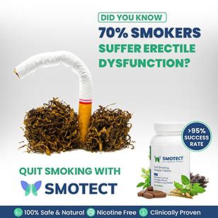 Smotect - Quantastic