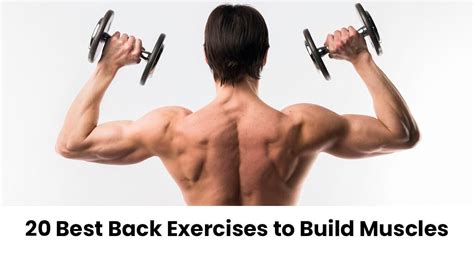 Image result for How to Develop Back Muscles