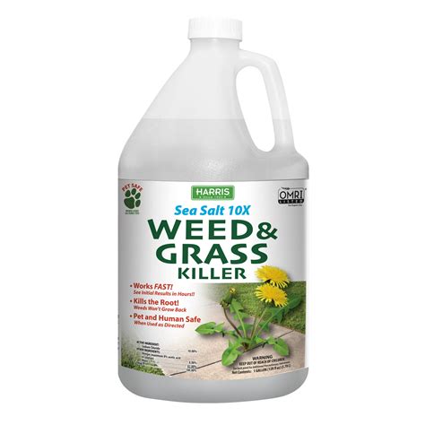 Top 10 Organic Weed Killers: The Eco-Friendly Gardener's Arsenal